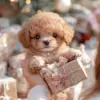 Jeremytis™ My Realistic Robot Puppy