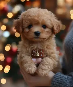Jeremytis™ My Realistic Robot Puppy