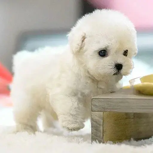 Jeremytis™ My Realistic Robot Puppy