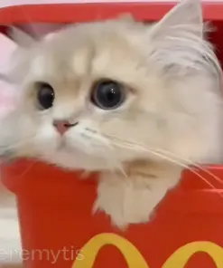 Jeremytis™ TOBY the Robot Dog LUNA the Robot Cat