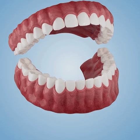 NESLEMY®-🦷Advanced Customized Full Denture Set